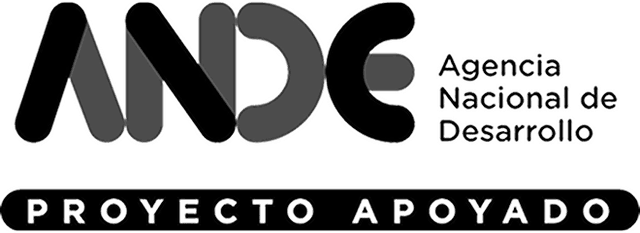 ANDE logo